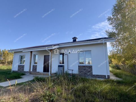 dom-derevnya-borisovka-gorodskoy-okrug-bor фото