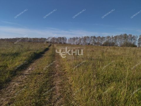 selo-tepelevo-dalnekonstantinovskiy-rayon фото