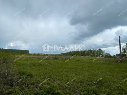 selo-ostankino-gorodskoy-okrug-bor фото