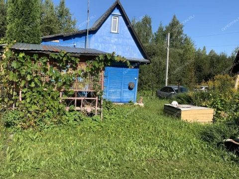 dacha-rabochiy-poselok-dalnee-konstantinovo-dalnekonstantinovskiy-rayon фото