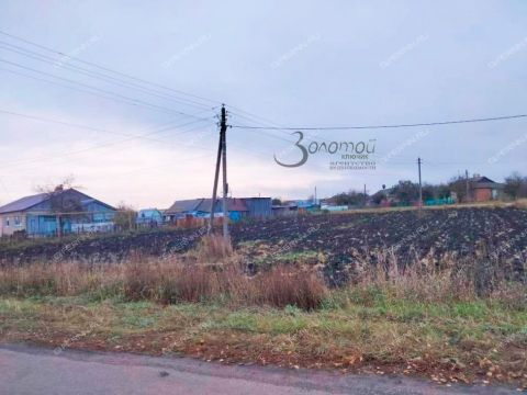 poselok-krasnyy-bor-shatkovskiy-rayon фото