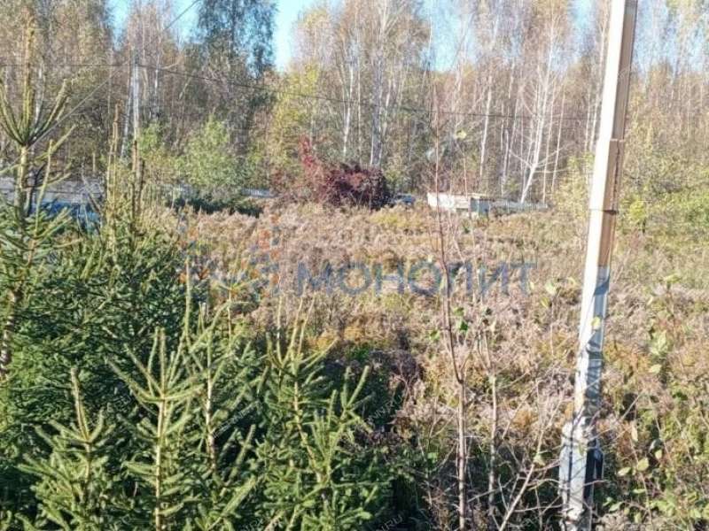 земельный участок под сельхоз назначение в Богородском районе Нижегородской области