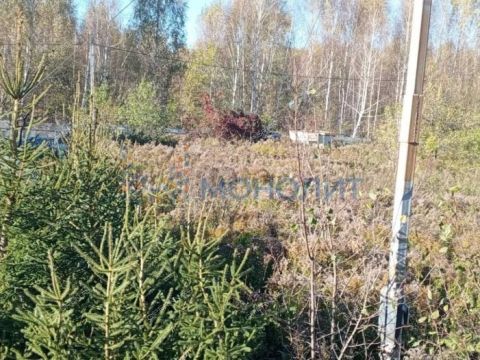 derevnya-kozhevennoe-bogorodskiy-municipalnyy-okrug фото
