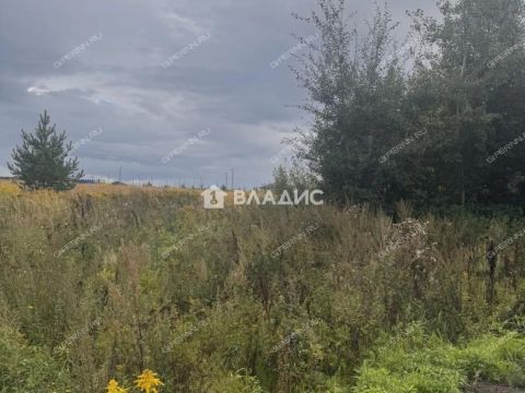 derevnya-pobediha-bogorodskiy-municipalnyy-okrug фото