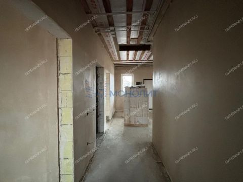 dom-derevnya-berezovka-bogorodskiy-municipalnyy-okrug фото