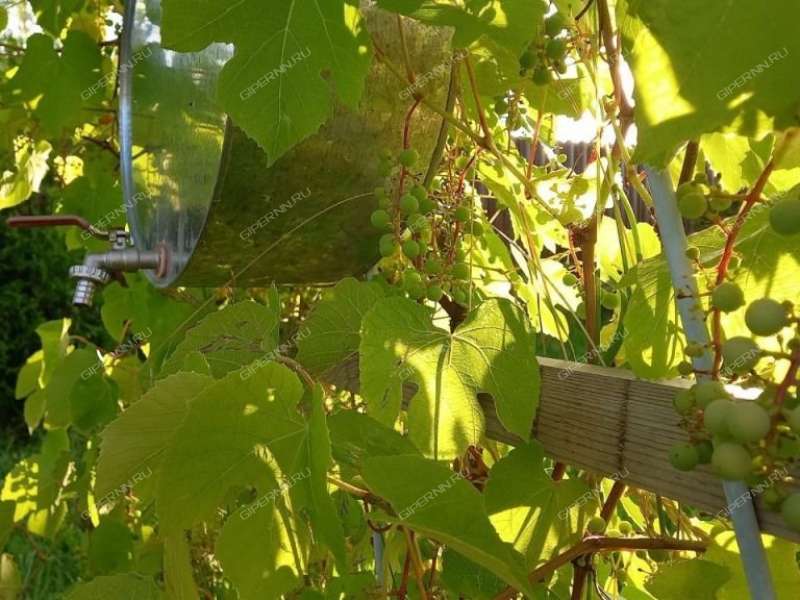 дача на Луговая деревня Яблоново