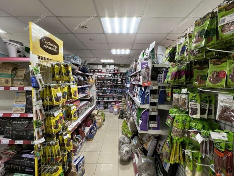 помещение под офис, торговую площадь на Ошарской улице