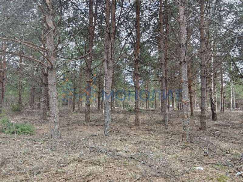 земельный участок 16 соток Ореховая улица Ивановское слобода