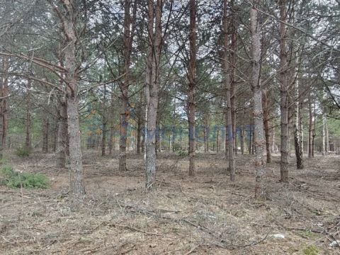 ivanovskoe-sloboda-gorodskoy-okrug-bor фото