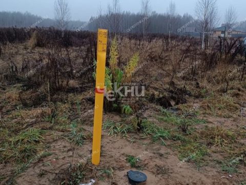 derevnya-gumnishhi-balahninskiy-municipalnyy-okrug фото