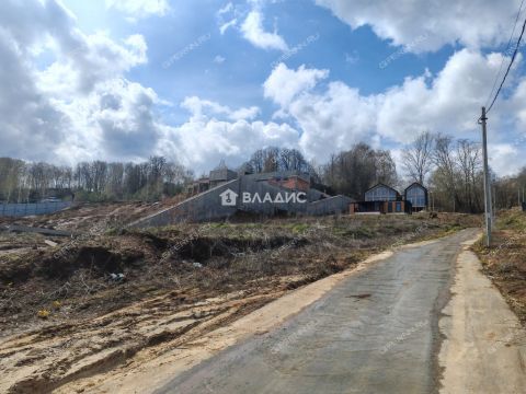 derevnya-afonino-kstovskiy-rayon фото