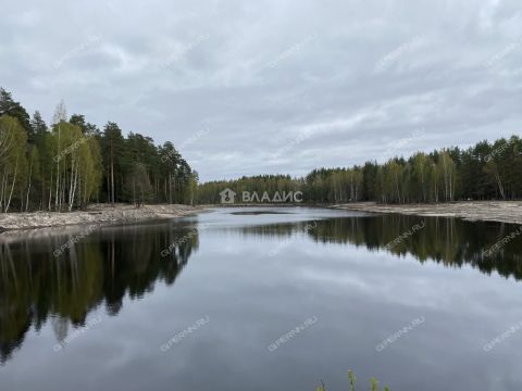 dom-selo-chistoe-gorodskoy-okrug-chkalovsk фото