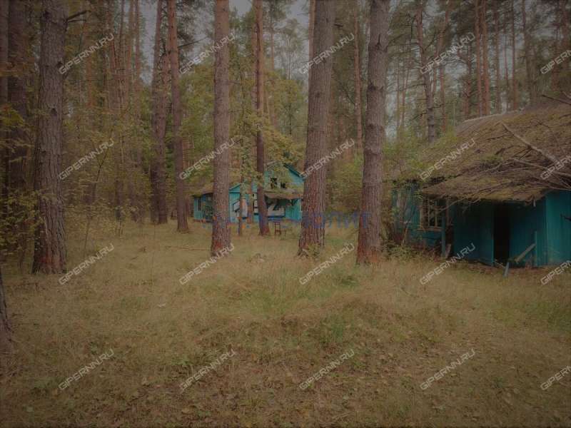 земельный участок под коммерческое использование в городском округе Бор Нижегородской области