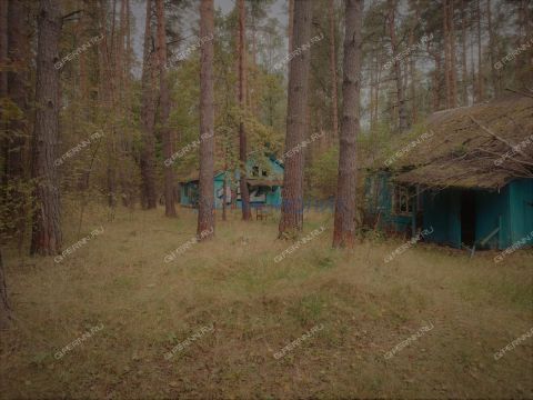 baza-otdyha-geolog-derevnya-syrohvatovo-kantaurovskiy-selsovet-ter-gorodskoy-okrug-bor фото