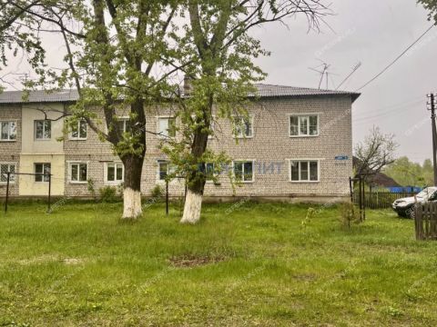 3-komnatnaya-poselok-kerzhenec-gorodskoy-okrug-bor фото