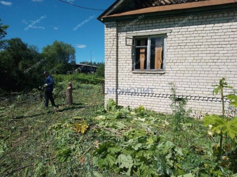 dom-derevnya-chernolesskaya-pustyn-lindovskiy-selsovet-gorodskoy-okrug-bor фото