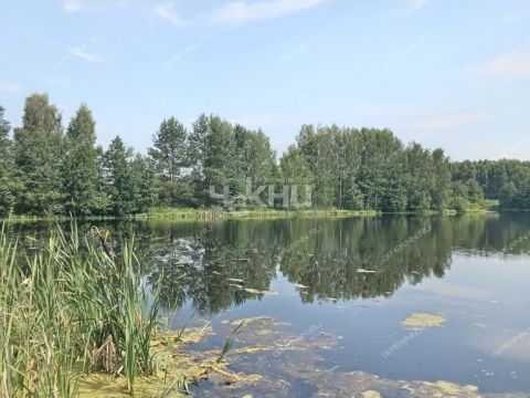 dom-derevnya-dolgusha-gorodeckiy-rayon фото