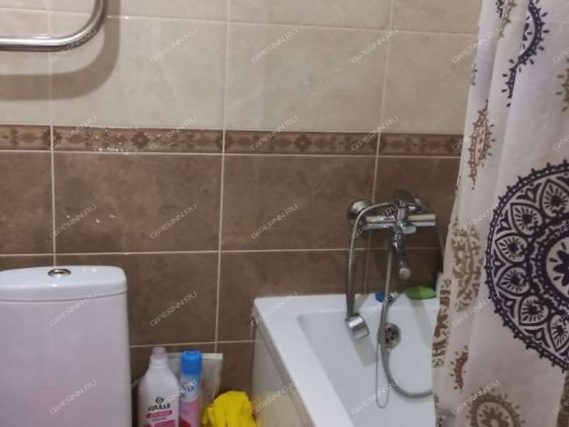 двухкомнатная квартира на Русской улице улице дом 7 деревня Анкудиновка
