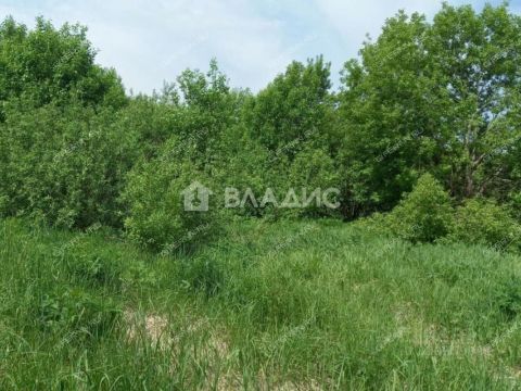 derevnya-dyakovo-semenovskiy-gorodskoy-okrug фото