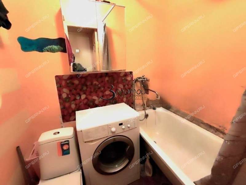 однокомнатная квартира на Литературной улице дом 20а