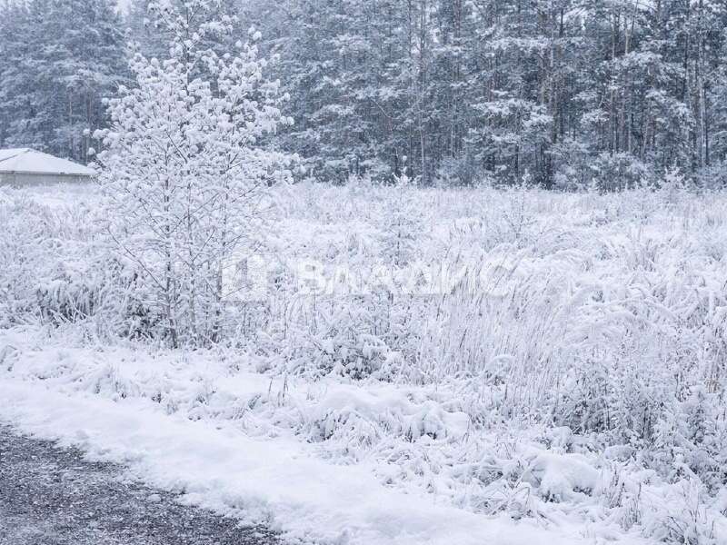 земельный участок 7,29 сотки улица Саврасова село Каменки