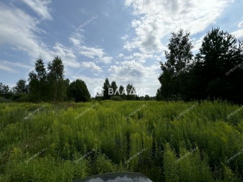 derevnya-churkino-gorodeckiy-rayon фото