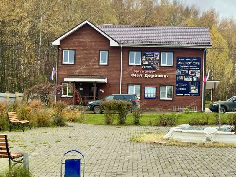 дом на Ахматовой ул. село Каменки