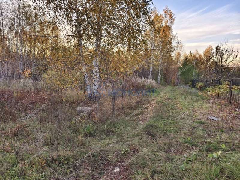 земельный участок 45 соток Солнечная улица село Новые Ключищи