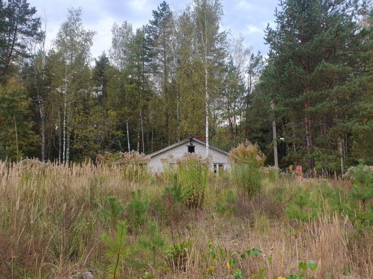 Фото: Ксения Ражева