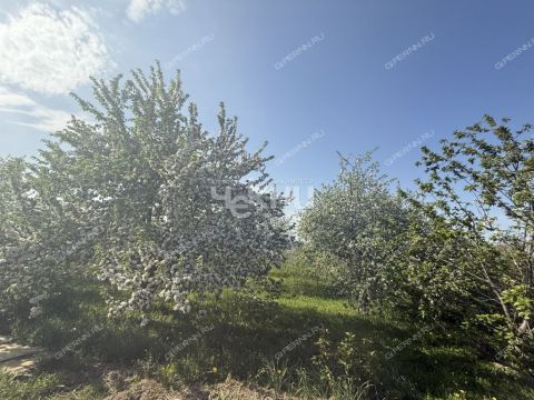 dacha-selo-barmino-lyskovskiy-municipalnyy-okrug фото