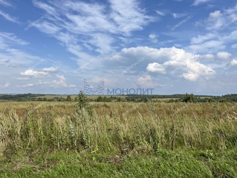 derevnya-pushkarevo-sokolskiy-gorodskoy-okrug фото