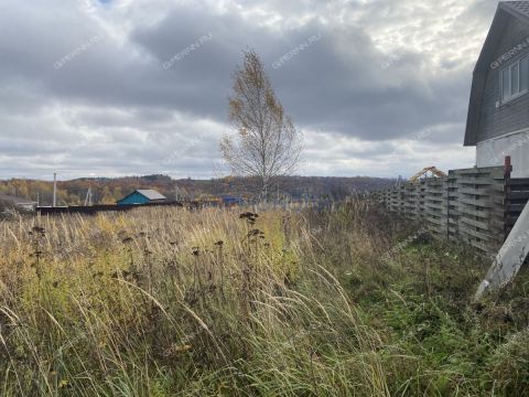 derevnya-shumilovo-bogorodskiy-municipalnyy-okrug фото