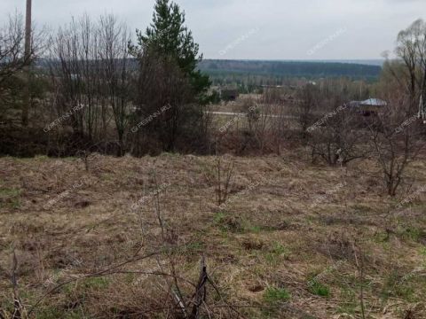 derevnya-nepecino-bogorodskiy-municipalnyy-okrug фото