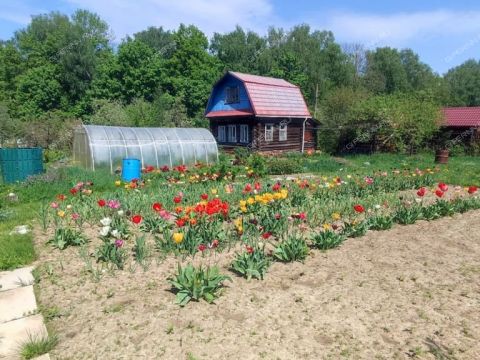 dacha-teplaya-gora-sad фото